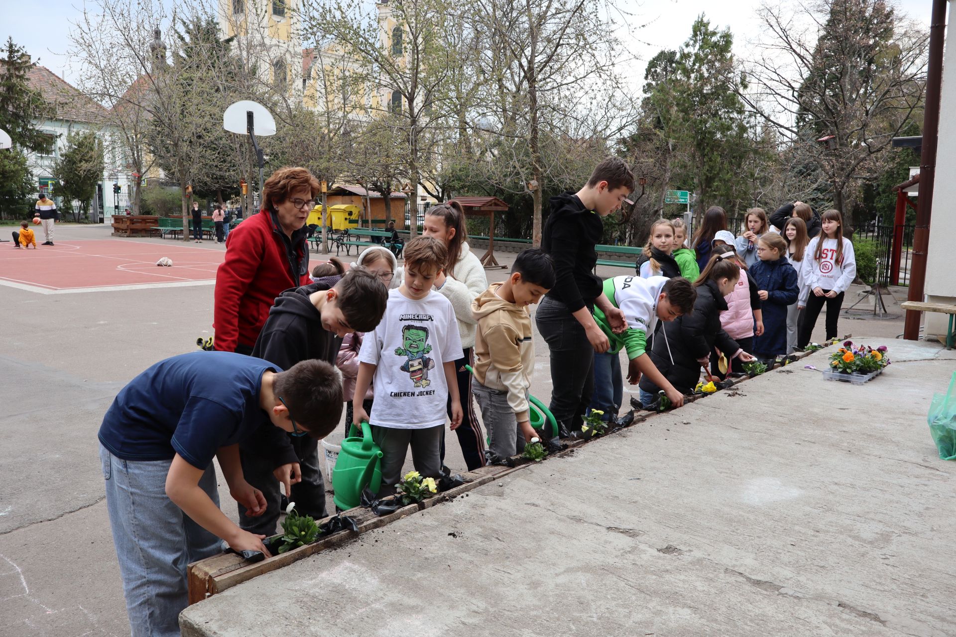 Teremtésvédelmi nap 2-