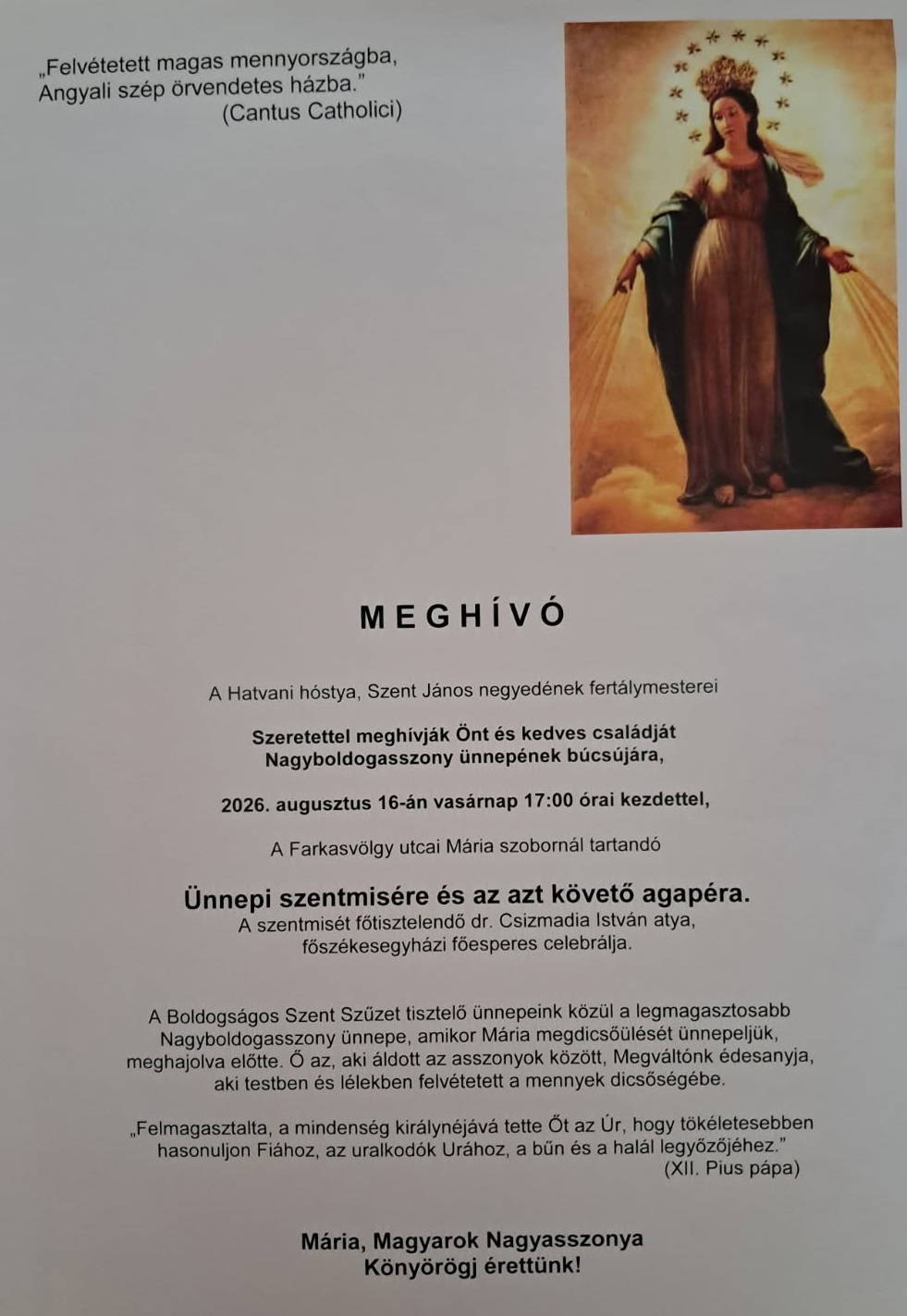 hóstyai