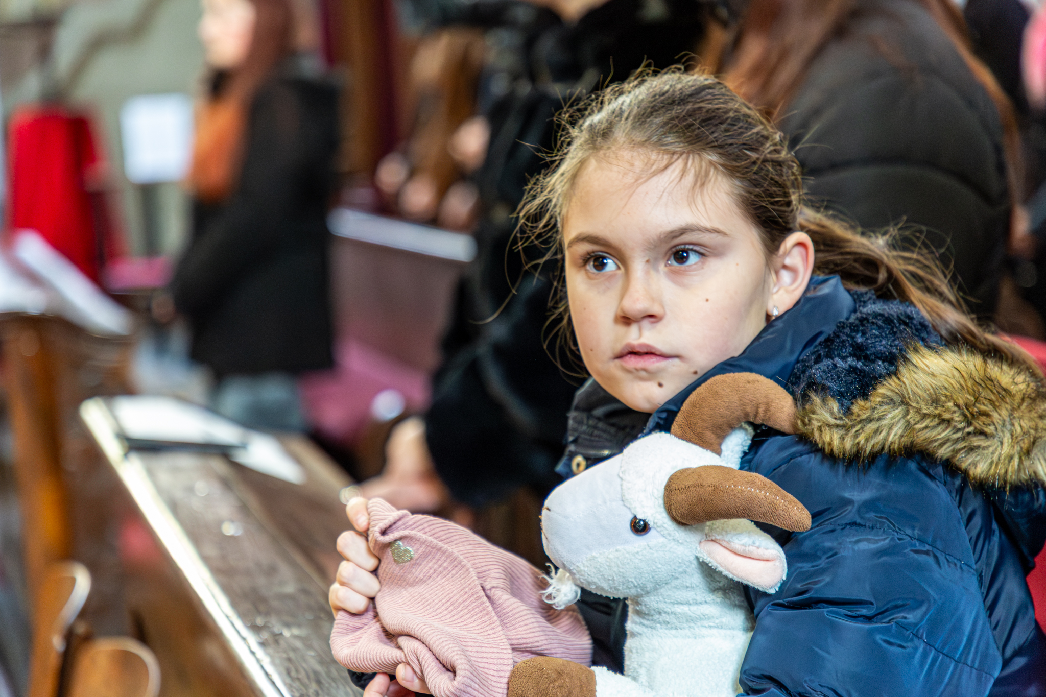 img_7844_54960002896_o